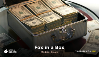 Fox in a Box - Madrid